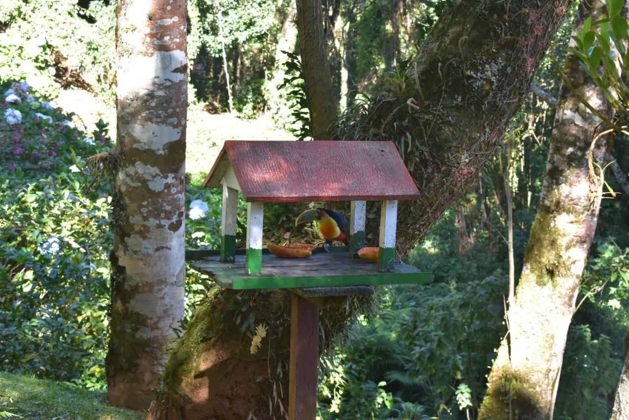 Pousada Amanita Monte Verde Monte Verde  Kültér fotó